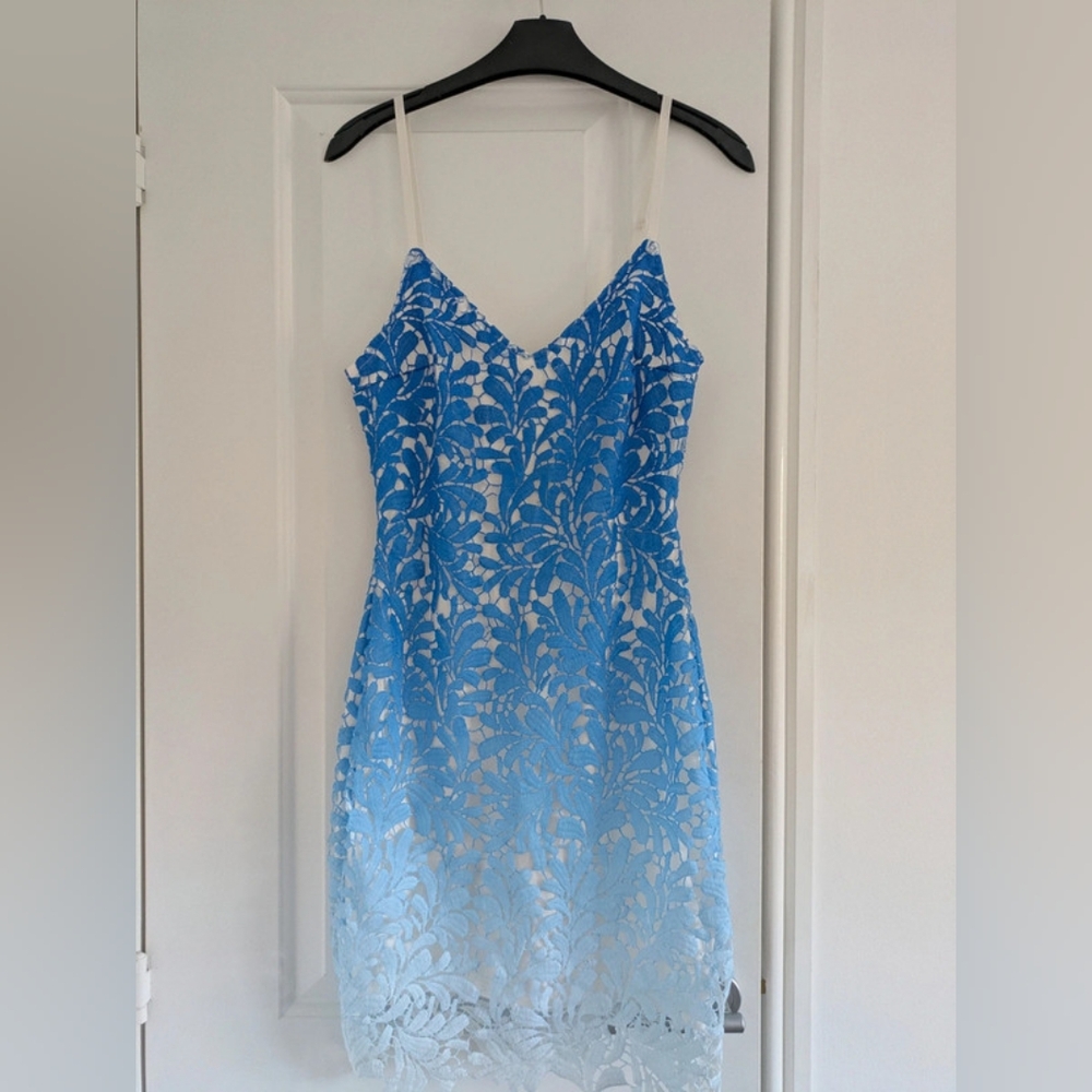 Blue and White Lace Dress